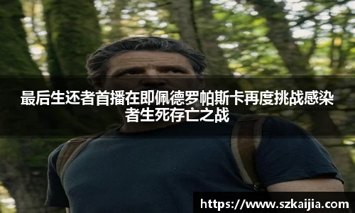 壹号壹号国际