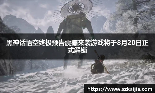 壹号壹号国际